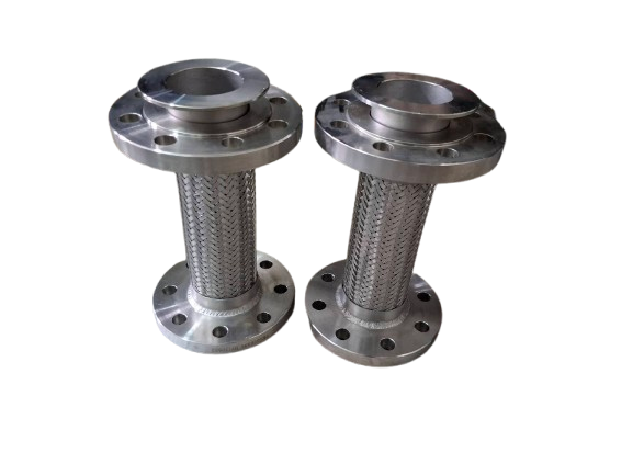Stainless Steel Flexible Hose with Flanges